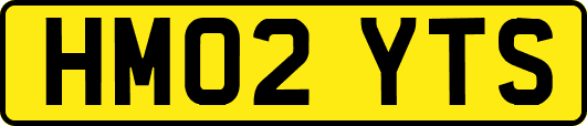 HM02YTS