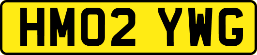 HM02YWG