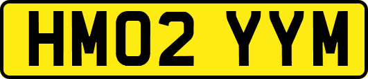HM02YYM