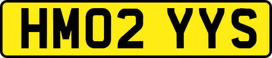 HM02YYS