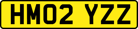 HM02YZZ