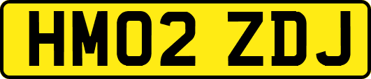 HM02ZDJ