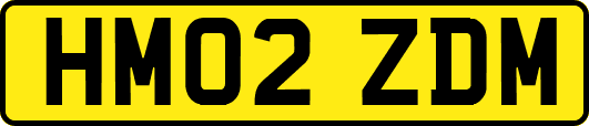 HM02ZDM