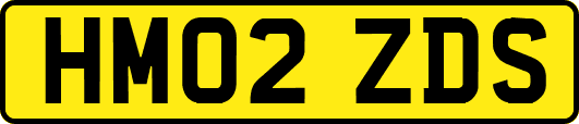 HM02ZDS