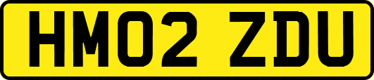 HM02ZDU