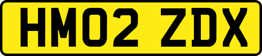 HM02ZDX