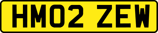 HM02ZEW