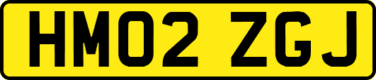 HM02ZGJ