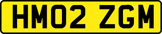 HM02ZGM