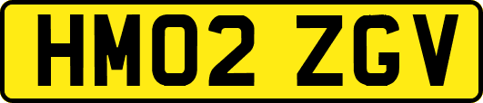 HM02ZGV