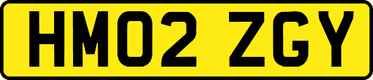 HM02ZGY
