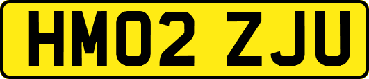 HM02ZJU