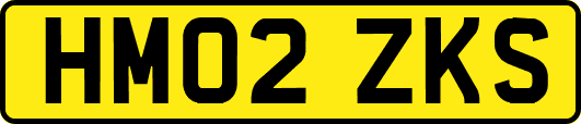 HM02ZKS