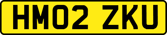 HM02ZKU