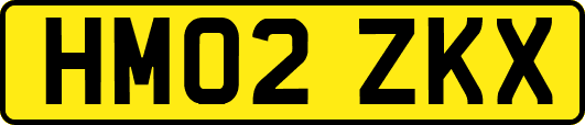 HM02ZKX