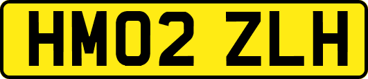 HM02ZLH