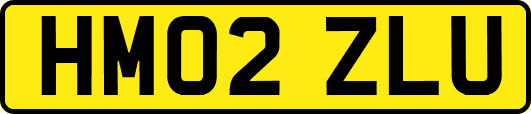 HM02ZLU