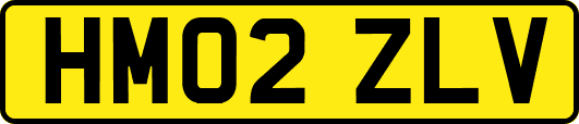 HM02ZLV