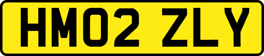 HM02ZLY