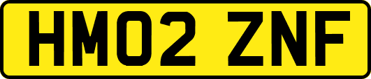 HM02ZNF