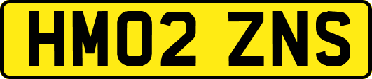 HM02ZNS
