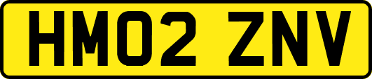 HM02ZNV