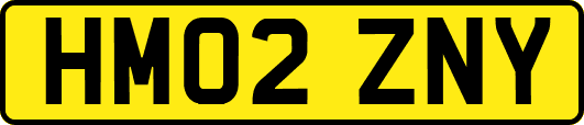 HM02ZNY