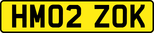 HM02ZOK