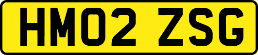 HM02ZSG