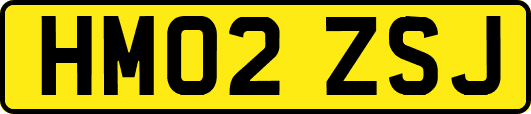 HM02ZSJ