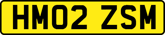 HM02ZSM