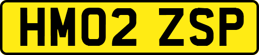 HM02ZSP