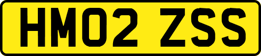 HM02ZSS