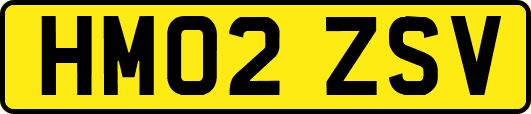 HM02ZSV