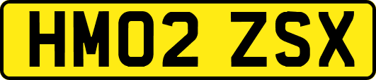 HM02ZSX