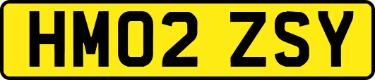 HM02ZSY