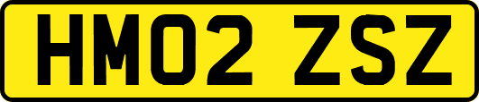 HM02ZSZ