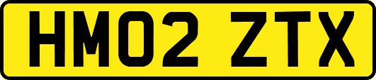 HM02ZTX