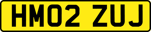 HM02ZUJ