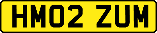 HM02ZUM