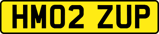 HM02ZUP