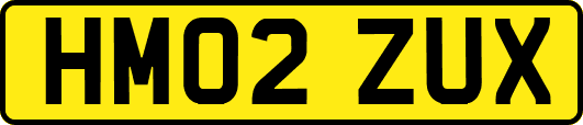HM02ZUX
