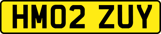 HM02ZUY
