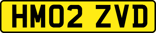 HM02ZVD