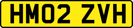 HM02ZVH