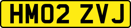 HM02ZVJ