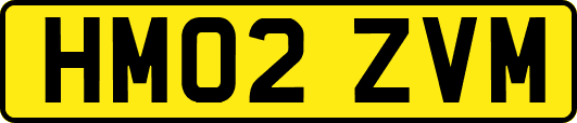HM02ZVM
