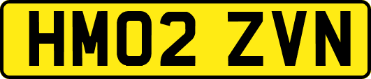 HM02ZVN