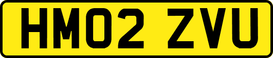 HM02ZVU