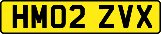 HM02ZVX